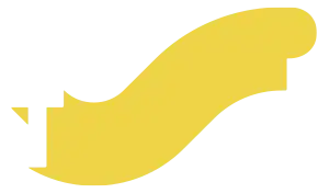 icono-footer